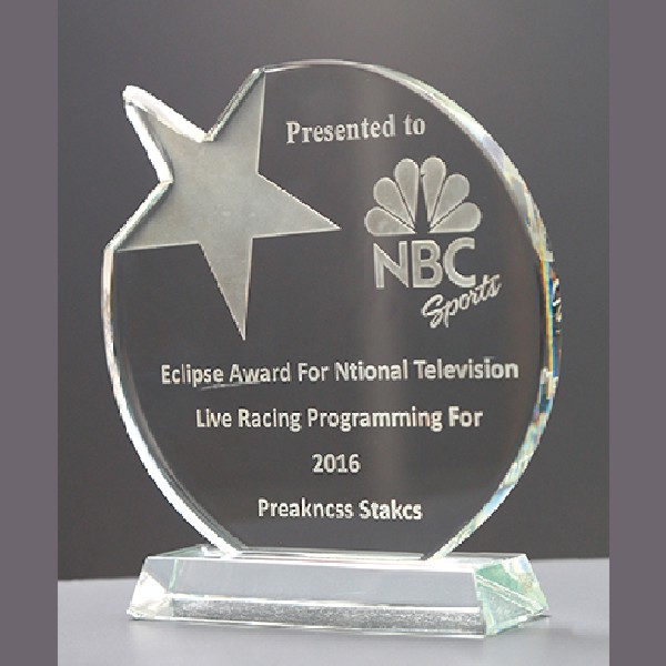Round Crystal Shooting Star Award